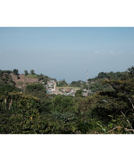 HONDURAS｜El Tanque｜Light Roast｜200g