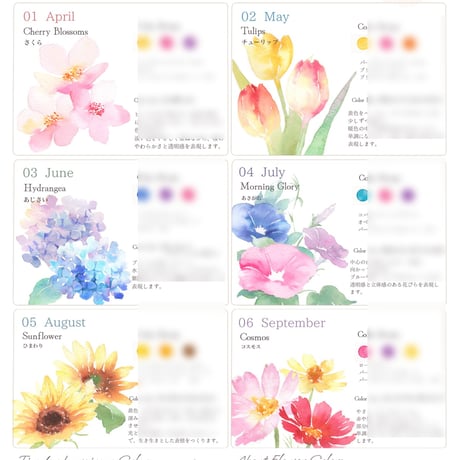 花を描く、6つの色づくり｜花の混色レシピ｜水彩レジュメ（PDFデータ）