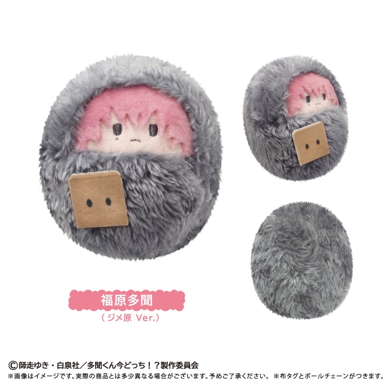 多聞くん今どっち！？ くるみたぴぬい | TAPIOCA online shop｜アニメ