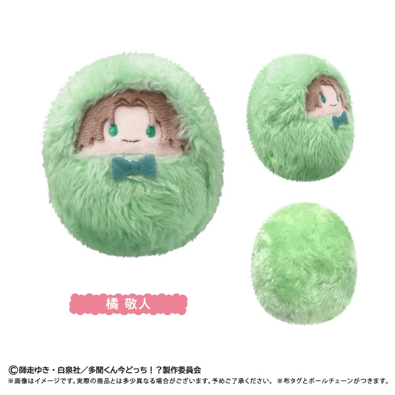 多聞くん今どっち！？ くるみたぴぬい | TAPIOCA online shop｜アニメ