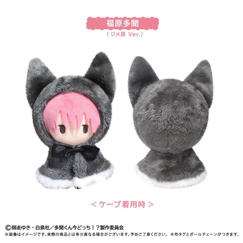多聞くん今どっち！？ 1〜15巻・ぬいぐるみ・雑誌セット 多聞くん今どっち！？ ケープたぴぬい | TAPIOCA online shop｜アニメ