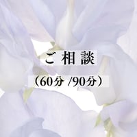 ご相談 (60分 / 90分)