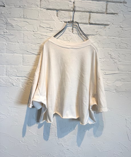 WHAT THE HELL IS THAT？／短丈t-shirts