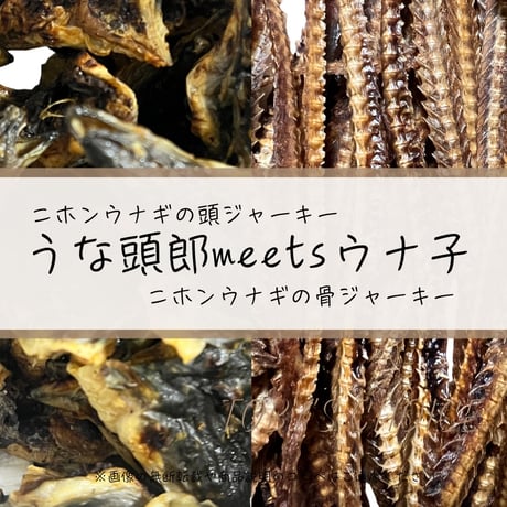 うな頭郎meets ウナ子