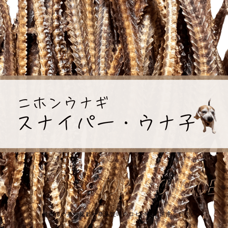スナイパー・ウナ子（国産うなぎの骨）