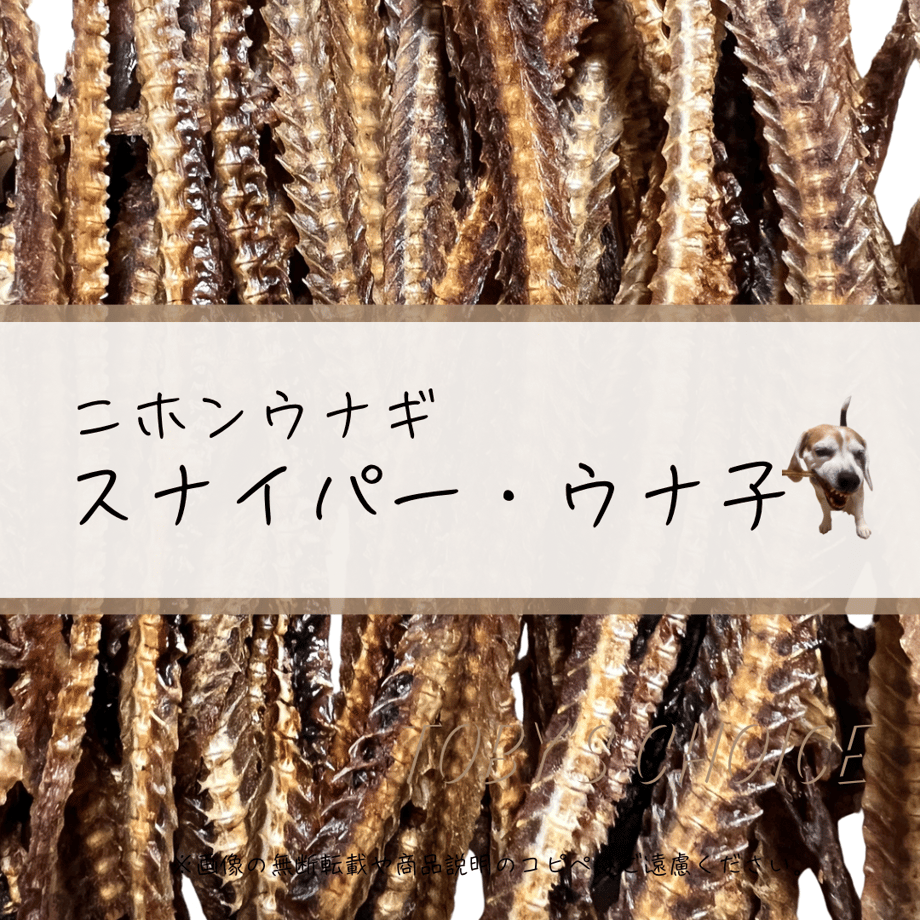 6a6efa952351e4005abe2c4c