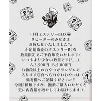 【ご予約】11月ミステリーボックス👽