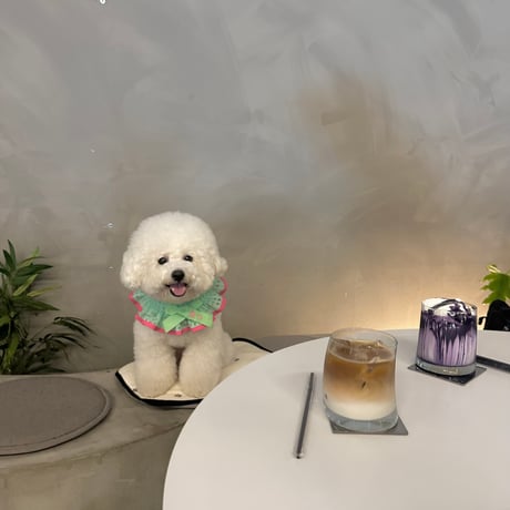 ミントxピンクシアーチェックスタイ🍉