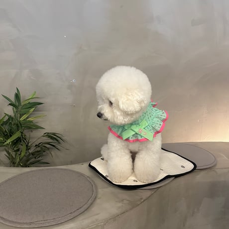 ミントxピンクシアーチェックスタイ🍉