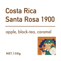 Costa Rica Santa Rosa 1900 中浅煎り150g