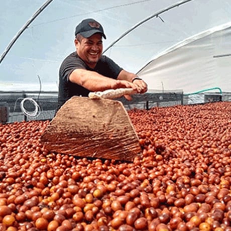 CGLE La Esperanza Geisha 100g