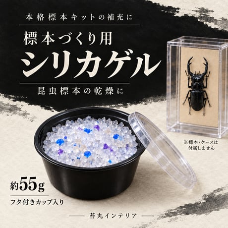 苔丸インテリア(公式ネットショップ)