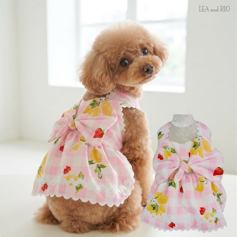 ゆめかわワンピース 犬 猫 | LEAandRIO
