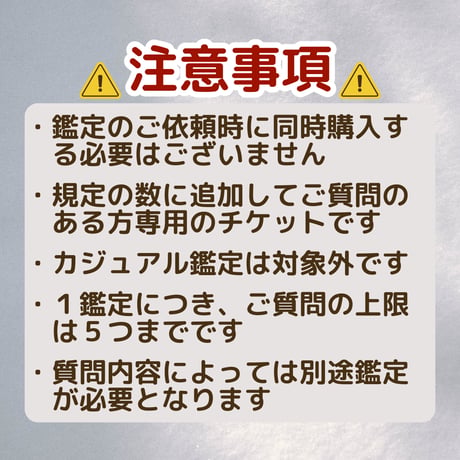 （個人鑑定オプション）追加質問チケット