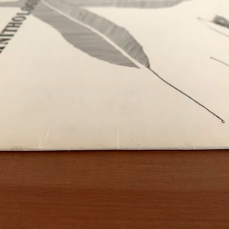 JOE DIAMOND - Ornithology (AUGUST / No Number)