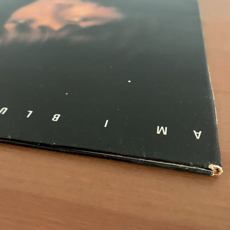 ANN BURTON - Am I Blue (KEY TONE KYT711)