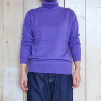Nouvelles du paradis ムーコットンタートル