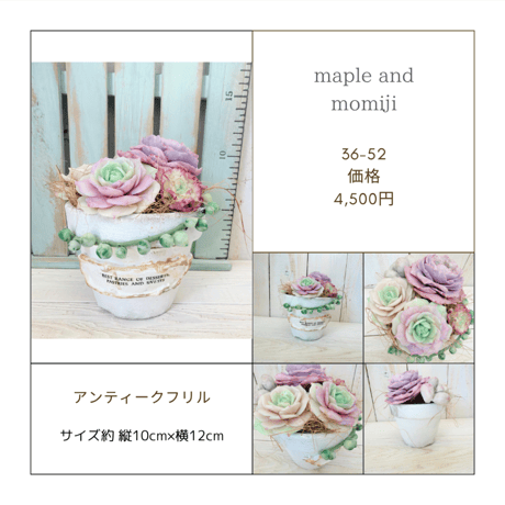 【maple & momiji】樹脂粘土の多肉植物コレクション
