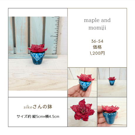 【maple & momiji】樹脂粘土の多肉植物コレクション