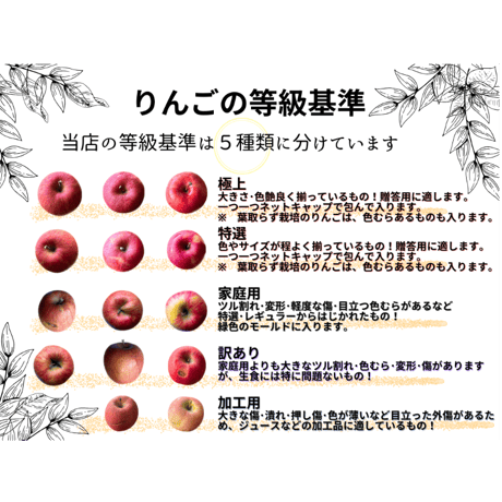 紅の夢（KURENAINOYUME)