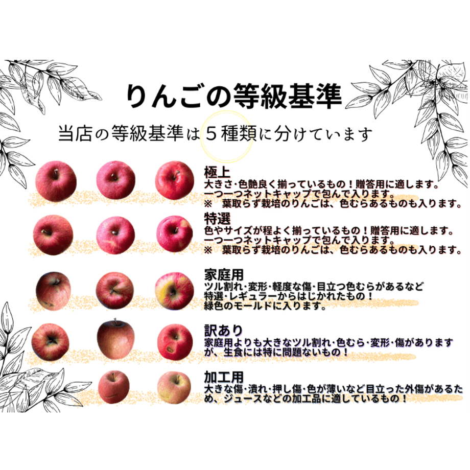 6ab4c1ede4312a52c456afbf
