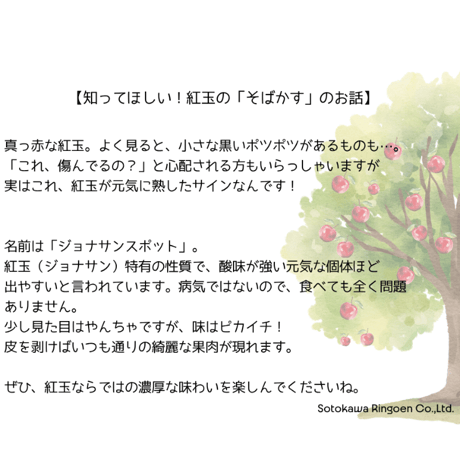 紅の夢（KURENAINOYUME)