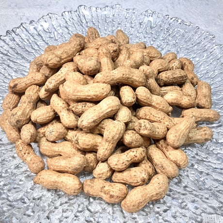 2026 kainami 生落花生 今季三代目！ 500g｜茹で落花生が美味しい品種