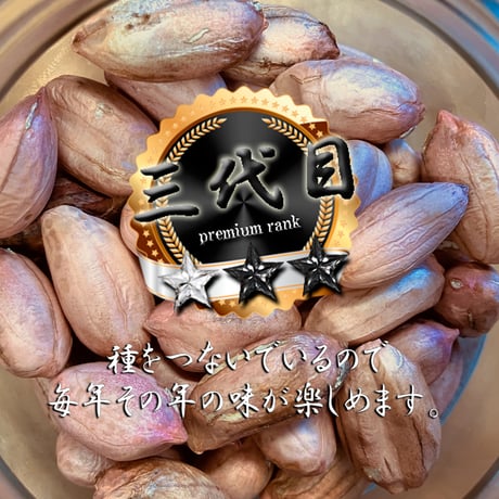 2026 kainami 生落花生 今季三代目！ 500g｜茹で落花生が美味しい品種