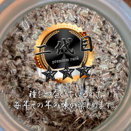 2026 kainami 黄色にんじん 今季二代目！ 8本（約2kg）｜加熱して激変、甘く美味しい
