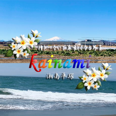 2026 kainami 黄色にんじん 今季二代目！ 8本（約2kg）｜加熱して激変、甘く美味しい