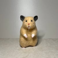 オーダー品