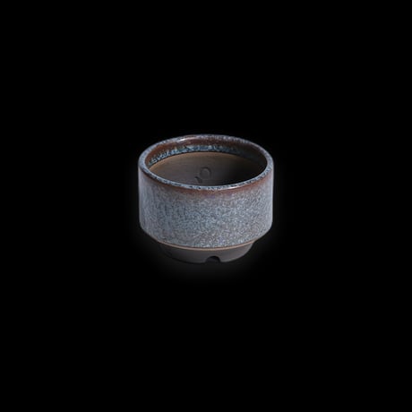 QUTOTEN. 利休 -RIKYU- 蒼鱗