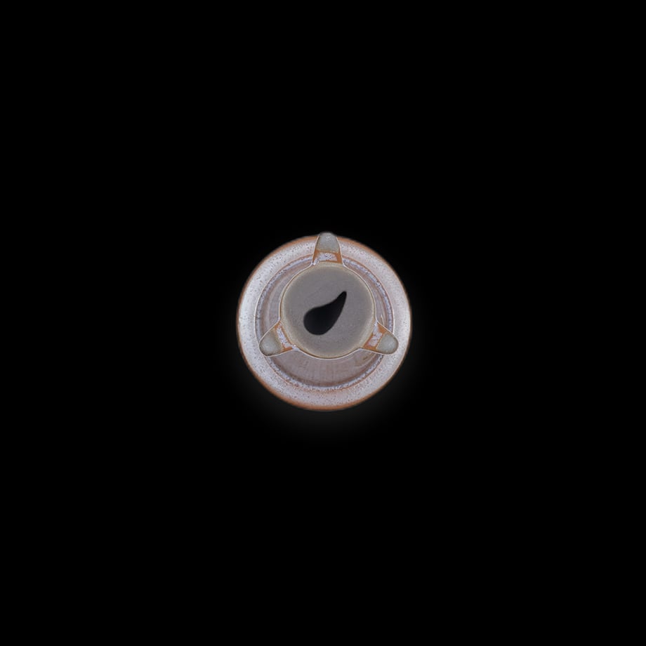 6a62fe6d7110b21505c001f1