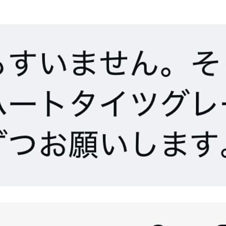 private page  arl/537様