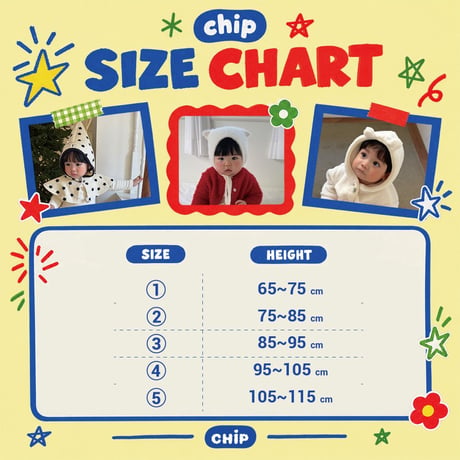 chip