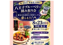 8/23㈰八王子ブルーベリー摘み取り体験と限定日本酒付き特別ランチを楽しもう🥂