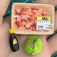 ミニチュア　豚肉　キャベツ　ソース　３Dフィギュア　ドールハウスに　ミニチュアイメージ