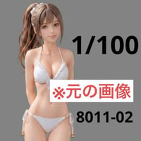 1/100 8011-02 フィギュア　水着　完成品　1/64より小　ミニチュア リアルフィギュア　ミニチュアイメージ