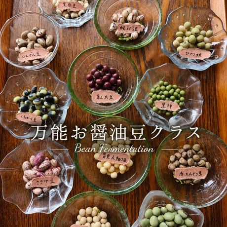 9/12 万能調味料お醤油豆と、簡単なお料理のクラス