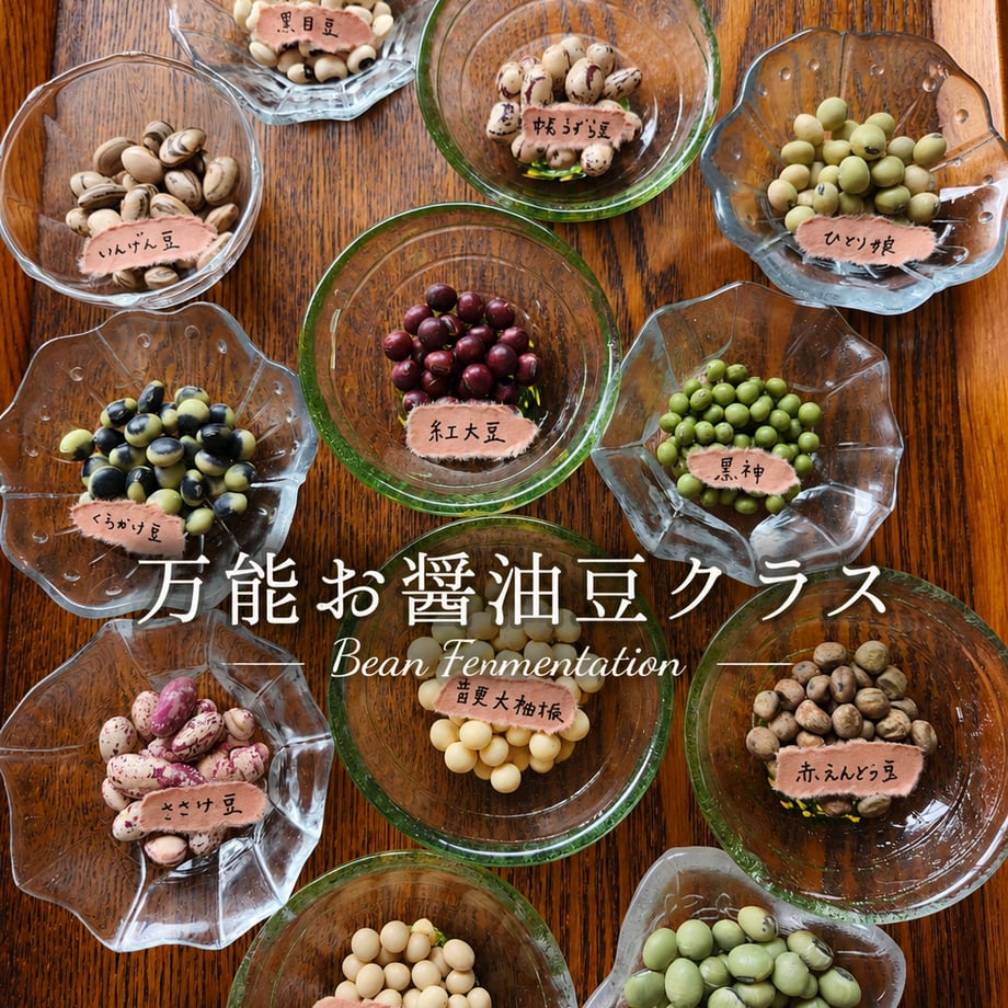 6a4f1519f27b5224a8317f0a