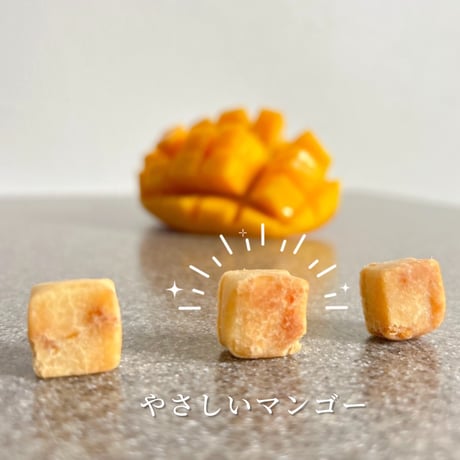 米麹クッキー×やさしいマンゴー (たっぷりの1サイズ)
