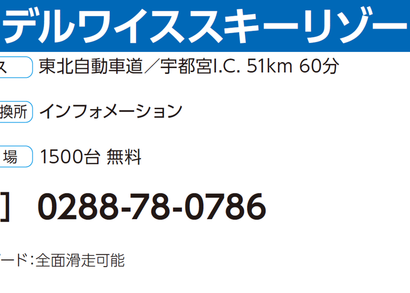 エーデルワイススキー場　大人1日リフト券　3枚 No.031【エーデルワイススキーリゾート】平日 大人 リフト 1日券