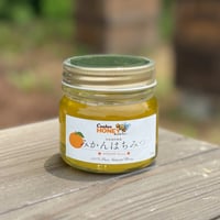 国産蜂蜜 みかんはちみつ 1200g 国産はちみつ | CanbeeHONEY