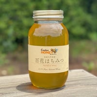 国産蜂蜜 みかんはちみつ 1200g 国産はちみつ | CanbeeHONEY