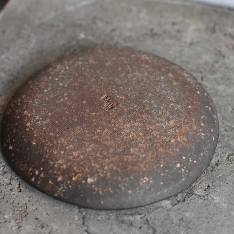 苔玉 大文字草(C-58)