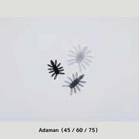 Adaman（45 / 60 / 75）【新色追加】