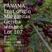 パナマ　ロストオリジン　マルガリータス農園　ゲイシャ　ウォッシュド　Lot 107／PANAMA-Lost origin Margaritas Geisha washed Lot 107