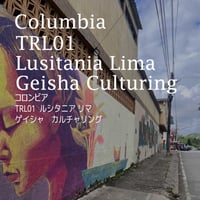 コロンビア   TRL01 ルシタニア リマ カルチャリング ／COLOMBIA--TRL01 - Lusitania Lima Culturing