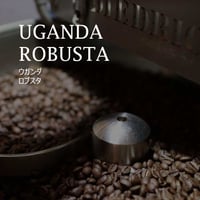 ウガンダ　ロブスタ ／UGANDA----ROBUSTA