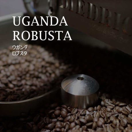 ウガンダ　ロブスタ ／UGANDA----ROBUSTA